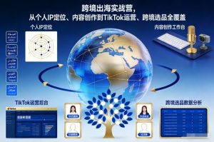 跨境出海实战营，从个人IP定位、内容创作到TikTok运营、跨境选品全覆盖-一起网赚吧