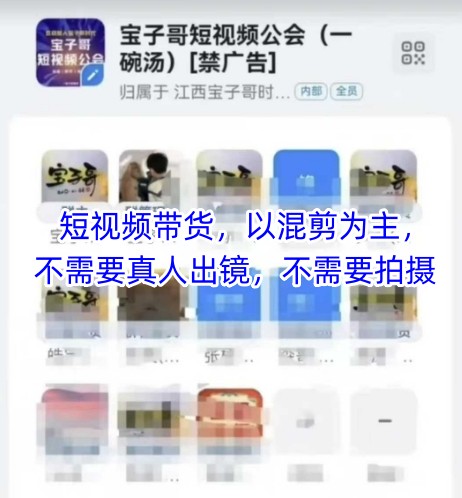 宝子哥头部团队短视频带货，以混剪为主，不需要真人出镜，不需要拍摄【更新12月】-一起网赚吧
