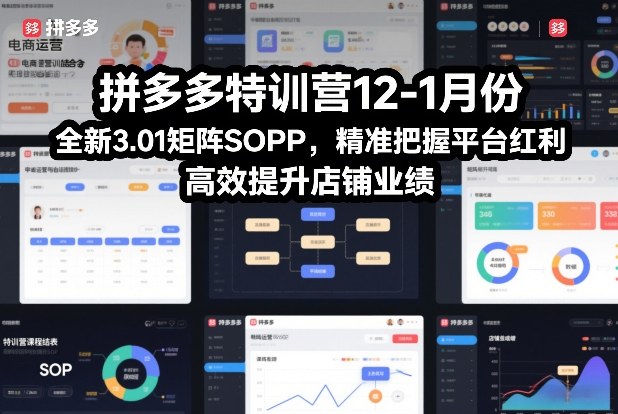 拼多多特训营12-1月份，全新3.01矩阵Sop，精准把握平台红利，高效提升店铺业绩-一起网赚吧