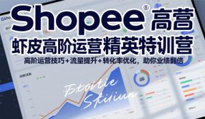 Shopee虾皮高阶运营精英特训营，高阶运营技巧+流量提升+转化率优化，助你业绩翻倍-一起网赚吧