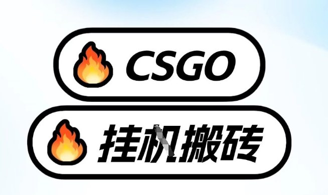 真全网独家CSGO挂G，最新玩法,单日捡漏1K+，不用电脑，不用打游戏【揭秘】-一起网赚吧