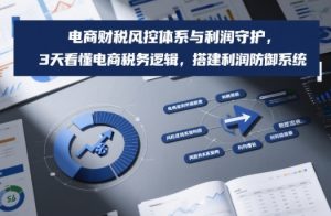 电商财税风控体系与利润守护,3天看懂电商税务逻辑,搭建利润防御系统-一起网赚吧