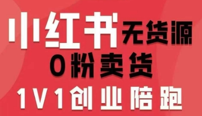 小红书无货源0粉电商课，开店准备、选品策略、笔记撰写、视频剪辑、数据分析、账号打造、资料文档（更新）-一起网赚吧