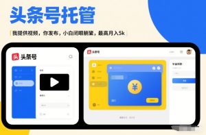 头条号AI托管，我提供视频，你发布，小白闭眼躺賺，最高月入5k+【揭秘】-一起网赚吧