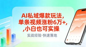 AI私域爆款玩法,单条视频涨粉6W+,小白也可实操-一起网赚吧