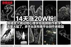 14天涨20W粉！情绪放大镜动物心理学短视频制作教学，流量太猛了，多平台发布撸平台创作者收益-一起网赚吧