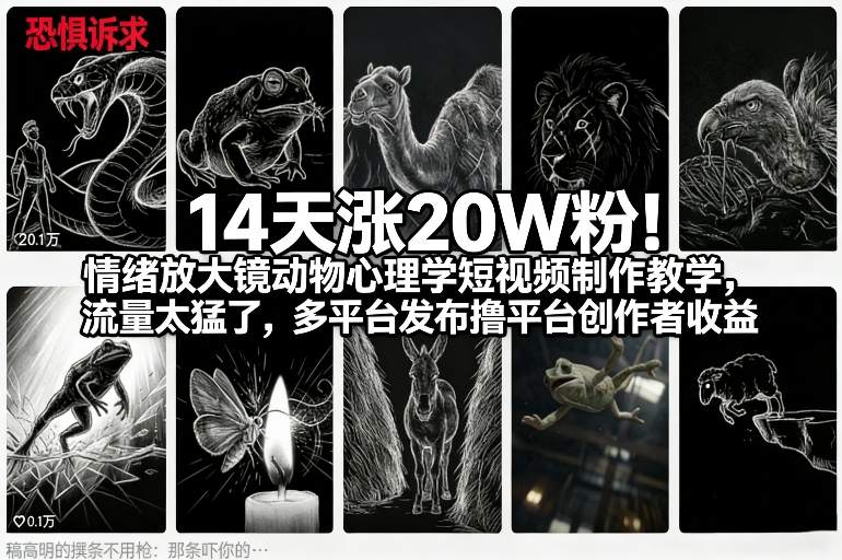 14天涨20W粉！情绪放大镜动物心理学短视频制作教学，流量太猛了，多平台发布撸平台创作者收益-一起网赚吧