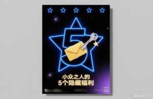 付费文章：小众之人的5个隐藏福利-一起网赚吧