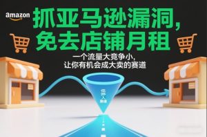 抓亚马逊漏洞，免去店铺月租，一个流量大竞争小，让你有机会成大卖的赛道-一起网赚吧