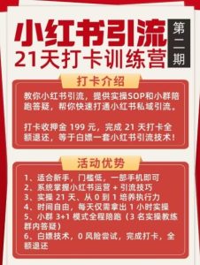 小红书引流21天打卡训练营第二期，助你快速打通小红书私域引流打粉-一起网赚吧