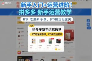 新手入门+运营进阶!拼多多新手运营教学,8节吃透新手课,8节搞定运营关-一起网赚吧