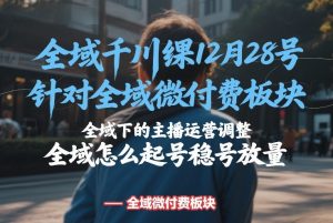 全域千川线下课12月28号，针对全域微付费板块，全域下的主播运营调整，全域怎么起号稳号放量-一起网赚吧