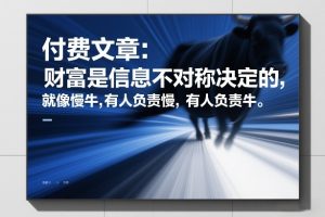付费文章：财富是信息不对称决定的，就像慢牛，有人负责慢，有人负责牛-一起网赚吧