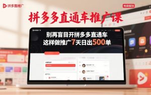 拼多多直通车推广课，别再盲目开拼多多直通车，这样做推广7天日出500单-一起网赚吧