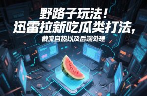 野路子玩法！迅雷拉新吃瓜类打法，截流自热以及后端处理-一起网赚吧