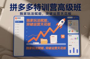 拼多多特训营高阶班，独家玩法赋能，突破运营天花板（更新26年2月）-一起网赚吧