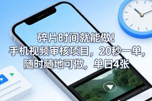碎片时间就能做!手机视频审核项目,20秒一单,随时随地可做,单日4张+【揭秘】-一起网赚吧