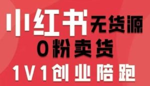 小红书无货源0粉电商课,开店准备、选品策略、笔记撰写、视频剪辑、数据分析、账号打造、资料文档(更新26年2月)-一起网赚吧