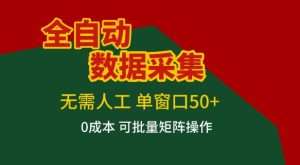 全自动数据采集项目，无需人工，单窗口可达50+收益，操作简单无难度，一个人也能轻松实现矩阵【揭秘】-一起网赚吧