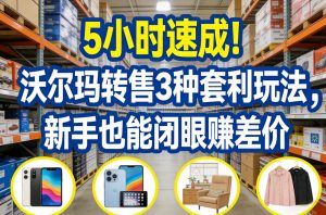 5小时速成！沃尔玛转售3种套利玩法，新手也能闭眼賺差价-一起网赚吧