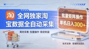 全网独家，淘宝数据全自动采集项目，批量可矩阵，单机轻松日入300【揭秘】-一起网赚吧