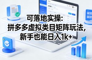 可落地实操:拼多多虚拟类目矩阵玩法,新手也能日入1k+【揭秘】-一起网赚吧