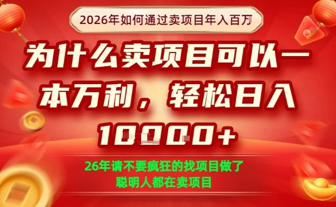 一单净利润1K+，26年想年入100个W，死磕卖项目就够了【揭秘】-一起网赚吧