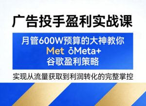 广告投手盈利实战课，月管600W预算的大神教你Meta+谷歌盈利策略，实现从流量获取到利润转化的完整掌控-一起网赚吧