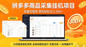 拼多多商品信息全自动采集项目，批量可矩阵，单机轻松日入300+，无需云机一台电脑开干【揭秘】-一起网赚吧