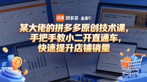 某大佬的拼多多原创技术课，手把手教小二开直通车，快速提升店铺销量-一起网赚吧