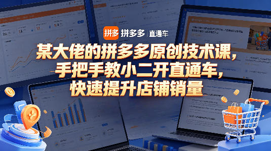 某大佬的拼多多原创技术课，手把手教小二开直通车，快速提升店铺销量-一起网赚吧