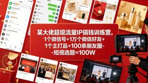 某大佬超级流量IP搞钱训练营，1个微信号+1万个微信好友+1个主打品+100条朋友圈-短视选题=100W-一起网赚吧