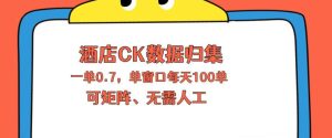 上班也能玩的酒店CK数据归集，一单0.7单窗口每天可做100单，一个人就能矩阵操作【揭秘】-一起网赚吧