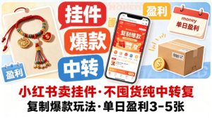 小红书卖挂件，不囤货纯中转复制爆款玩法，单日盈利3-5张-一起网赚吧