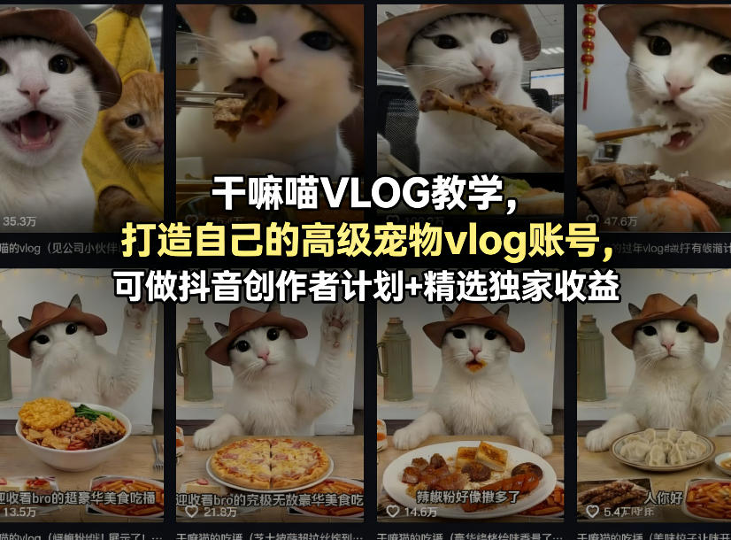 干嘛喵VLOG教学，打造自己的高级宠物vlog账号，可做抖音创作者计划+精选独家收益-一起网赚吧
