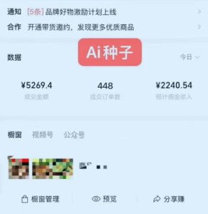 视频号AI种子带货，0粉0保证金就可做，人人能做，实操日入1k+-一起网赚吧