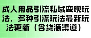 成人用品引流私域变现玩法，多种引流玩法最新玩法，操作简单（含货源渠道）-一起网赚吧