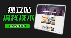 干货来袭！麦子甜带你吃透独立站｜从搭建到引流一站式教学《独立站》第一期-一起网赚吧