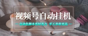 视频号自动挂G项目,自动化脚本省时省力,手工单价更高,日入300+全网最稳【揭秘】-一起网赚吧