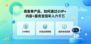 高客单产品,如何通过小IP+内容+服务变现年入六干W-一起网赚吧