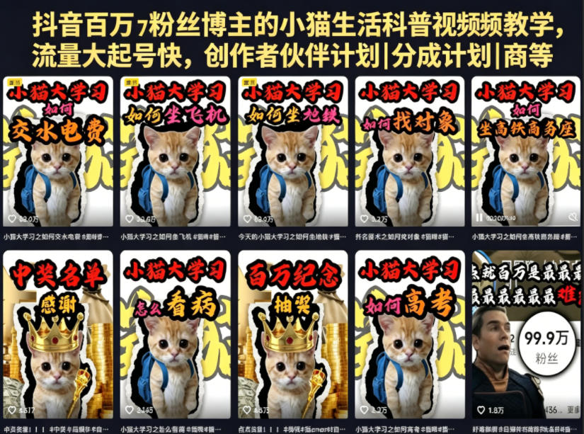 抖音百万粉丝博主的小猫生活科普视频教学，流量大起号快，创作者伙伴计划|分成计划|商单|收徒等-一起网赚吧