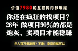 26年请不要疯狂的找项目了,卖项目远比你想象的暴利,你也可以月入10W+【揭秘】-一起网赚吧