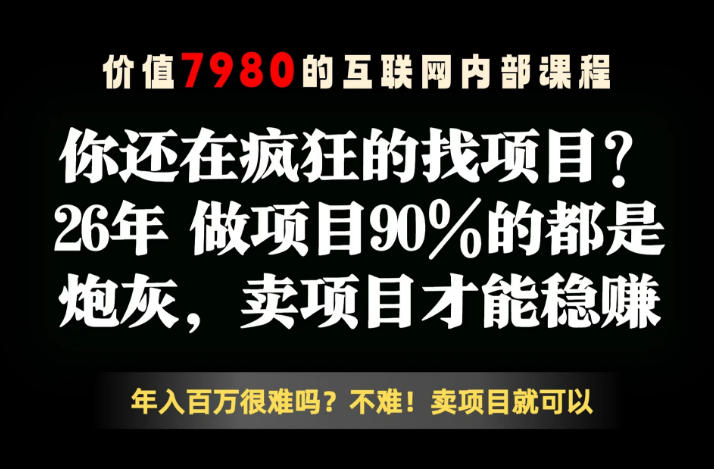 26年请不要疯狂的找项目了，卖项目远比你想象的暴利，你也可以月入10W+【揭秘】-一起网赚吧