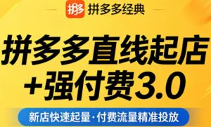 拼多多直线起店+强付费3.0，教你稳定起店、高效控投产、破解流量瓶颈（更新4月）-一起网赚吧