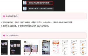 KS项目2.0期-拆本周结1W项目思路,几张图撬动流量群体,真的生猛-一起网赚吧