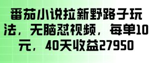 番茄小说拉新野路子玩法，无脑怼视频，玩法简单、见效快，每单10米，40天收益27950-一起网赚吧
