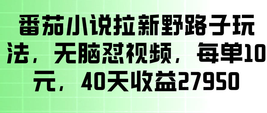 番茄小说拉新野路子玩法,无脑怼视频,玩法简单、见效快,每单10米,40天收益27950
