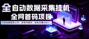 全自动数据采集挂G,全网首码项目,简单易操作,小白也能轻松上手,多账号操作,轻松日入500+【揭秘】-一起网赚吧