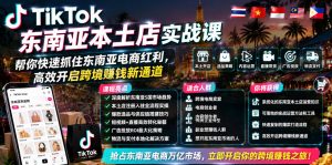 TikTok东南亚本土店实战课，帮你快速抓住东南亚电商红利，高效开启跨境賺钱新通道-一起网赚吧