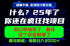 26年，请不要疯狂的找项目做了！卖项目才是真的稳賺不赔，看完照做，保底日入1k+【揭秘】-一起网赚吧